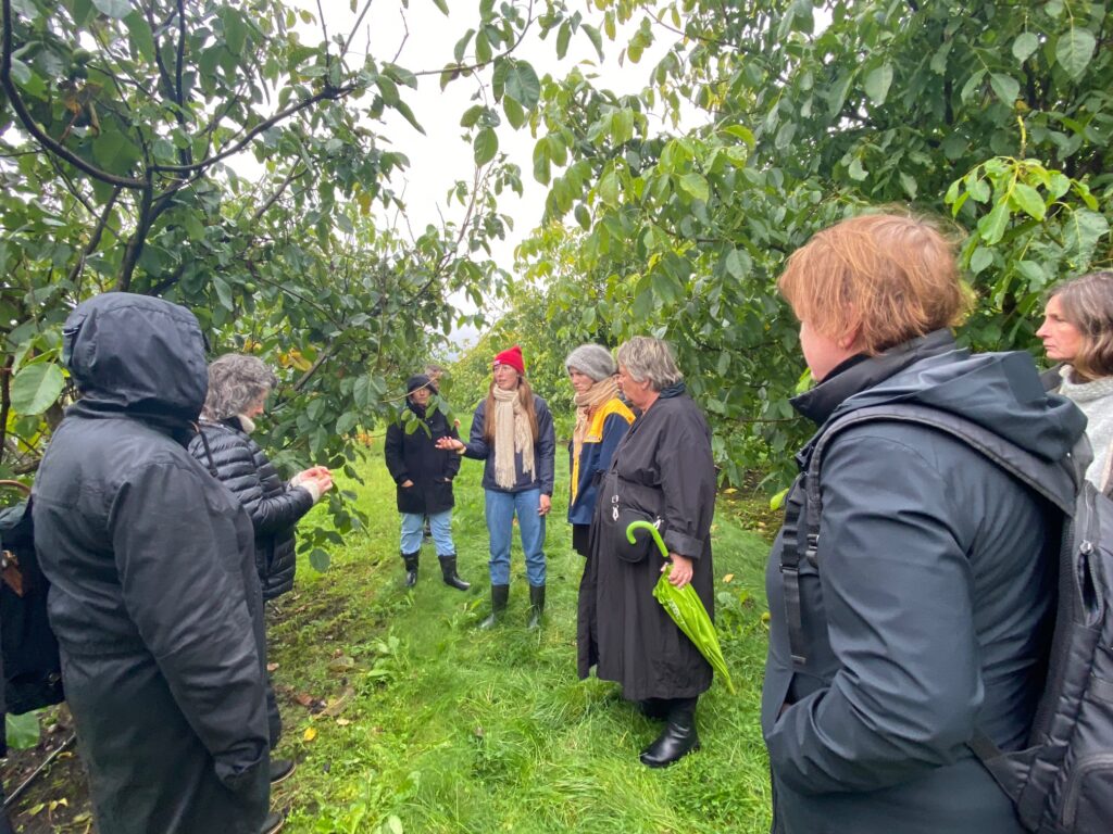 Visit in Norway and Denmark. Partners in the Nordplus project: Short Food Supply schemes. Photo: Viva So